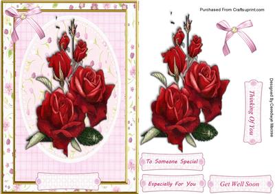 Beautiful Rosesf Gratitude