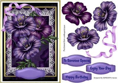 Beautiful Purple Passion 
