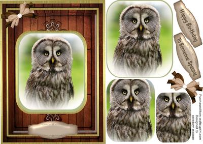 Beautiful Grey Owl ( Pyramarge )