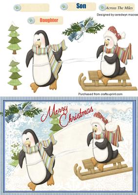 The Sking Penquins 
