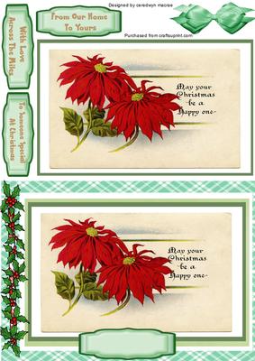 Lovely Red Christmas Poinsettias