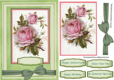 Beautiful Pink Cabbbage Roses