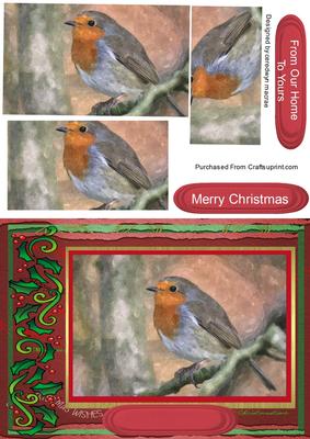 Beautiful Painted Christmas Robin,pyramarge