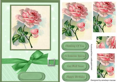 Beautiful Pink Roses on Green