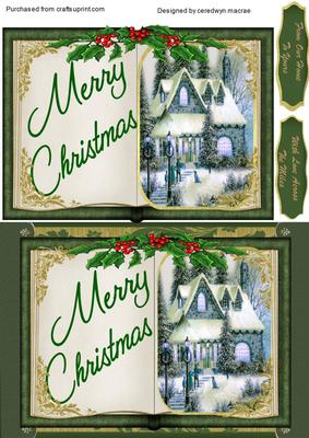Lovely Christmas Book in Green .