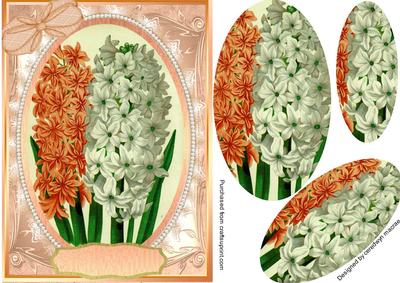 Lovely Winter Hyacinth