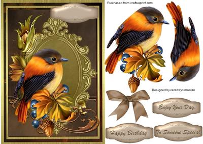 Beautiful Cute Autumn Bird 