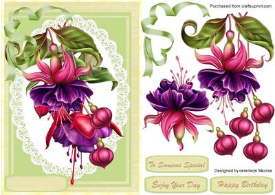 Beautiful Fushia Pea 