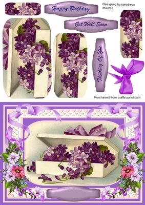 Beautiful Violets in a Box , ( Pyramarge )