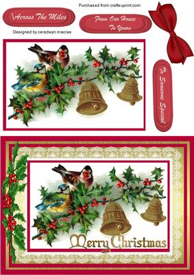 Lovely Birds on the Holly Tree