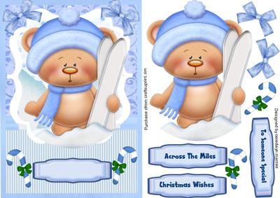 Lovely Sking Bear