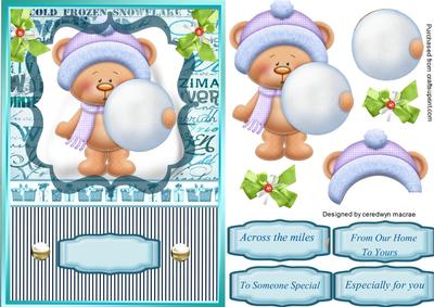 Lovely Little Snowball Bear