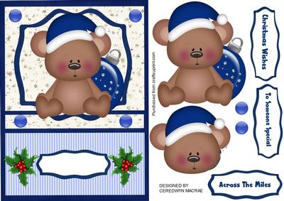 Lovely Little Bear in Santa Hat