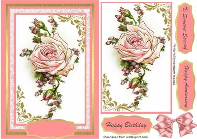 Beautiful Pale Pink Rose .