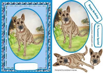 Beautiful Germas Shepard Dog