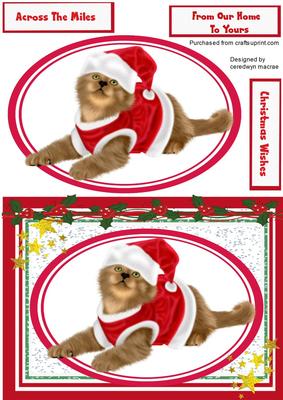 Cute Cat in a Santa Suit 