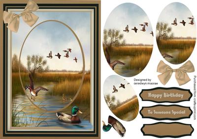 Lovely Pyramsrge Mallard Ducks