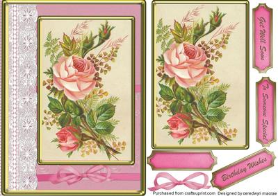 Beautiful Roses on a Cerise Background.