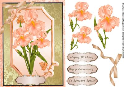 Beautiful Apricote Irises.