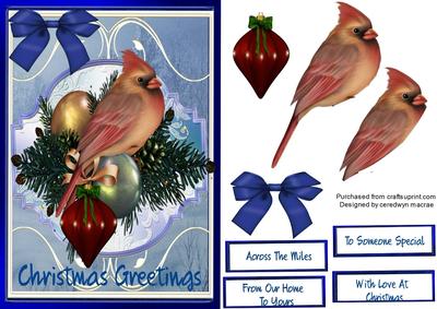 Beautiful Cardinal in a Blue Frame