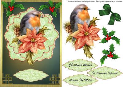 Lovely Robin and Ponsetias