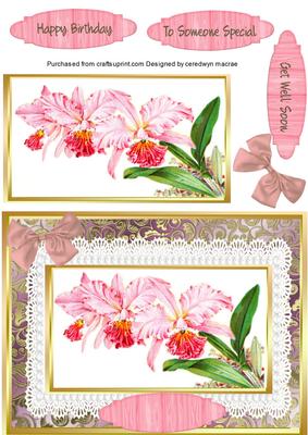 Beautiful Orchids on Lace