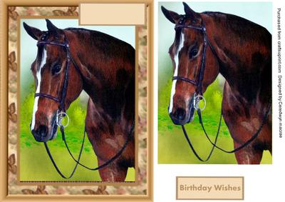Beautiful Horse Card and Topper 