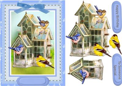 Lovely Birds in the Nest House 