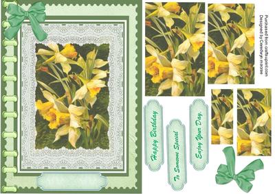 Beautiful Book of Daffodils, ( Pyramid )