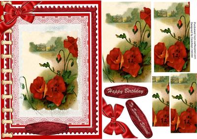 Lovely Book of Red Poppys . ( Pyramid )
