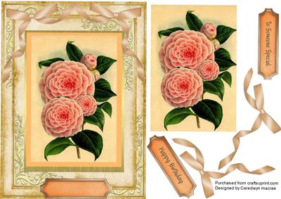 Lovely Pyramid Apricot Camelias 