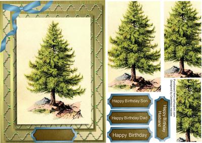 Lovely Tall Pine Tree 