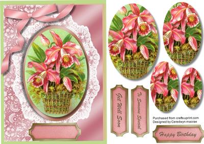 Stunning Orchids in a Basket, ( Pyramid )