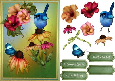Lovely Bluebird on Cone Flowers