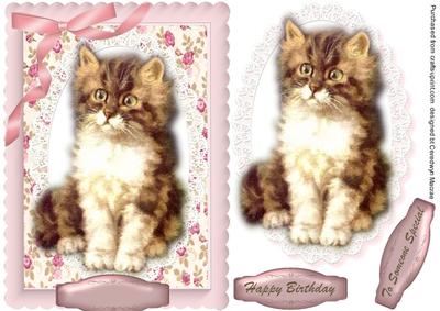 Lovely Fluffy Kitten on Lace Oval 