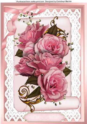 A4 Beautiful Pink Roses on Lace and a Scroll