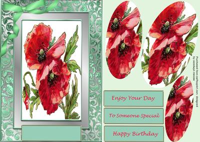 Beautiful Pyramarge Red Poppys