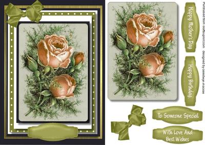 Deep Cream Roses for Love 