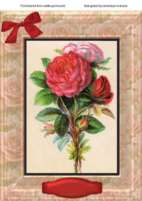 A4 Beautiful Roses in a Rose Frame