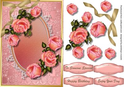 Lovely Pink Rose in Bloom
