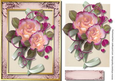 Beautiful Blush Rose in Gold Frame