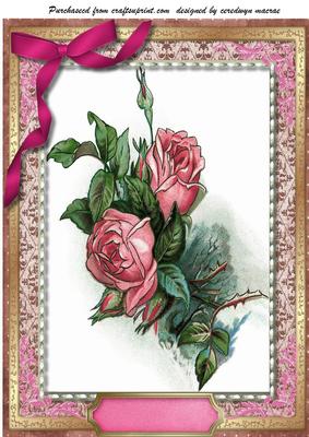 A4 Beautiful Roses Ina Ornate Frame with Stitching 