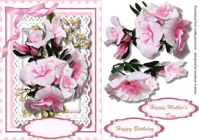 Lovely Pale Pink Azaleas for Mum