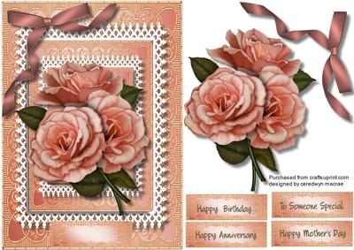 A5 Beautiful Apricot Roses on a Double Lace Frame 