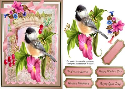 Beautiful Winged Friends and Lovely Petunias 