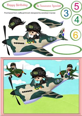 The Little Combat Squadron