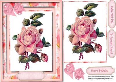 Beautiful Soft Pink Rose