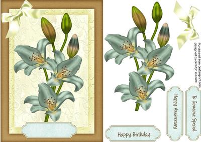 Lovely Soft Aqua Lillys 