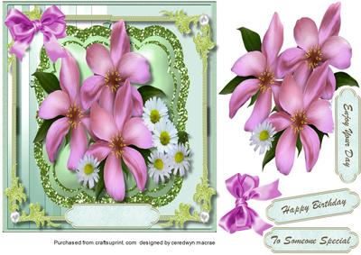Lovely Daisys and Spring Flowers