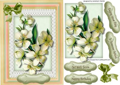 Lovely Cream Apple Blossom on Lace 